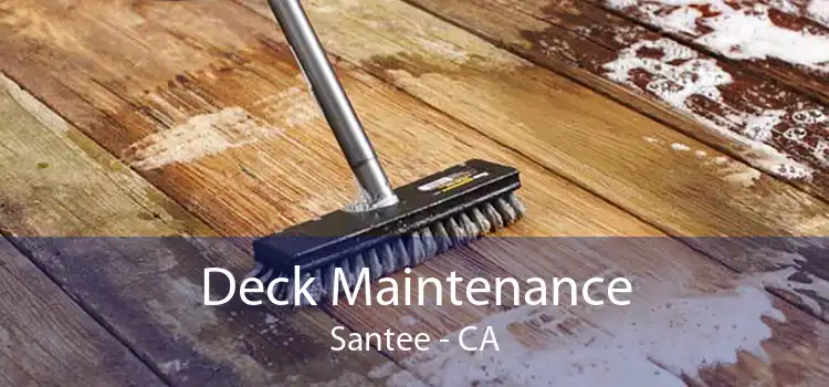Deck Maintenance Santee - CA